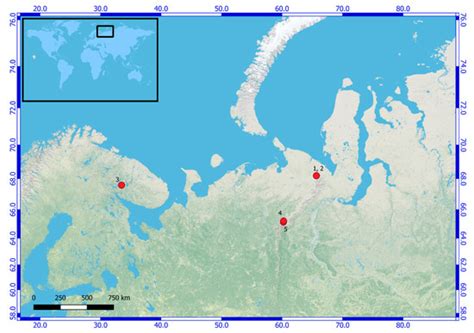 Terrestrial Species of Drouetiella (Cyanobacteria, Oculatellaceae) from ...