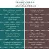 write difference Between plants cells and animals cells. write 10 ...