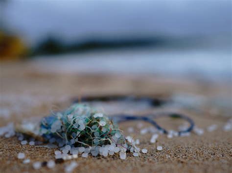Microplastiche trovate in sedimenti del 1700 | Meer