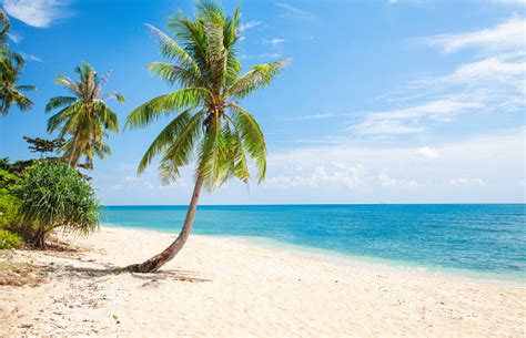 Image result for Beach Python Code