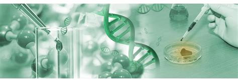 Biology Background 的图像结果