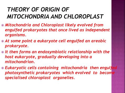 The endosymbiosis theory associated with mitochondria and chloroplast ...
