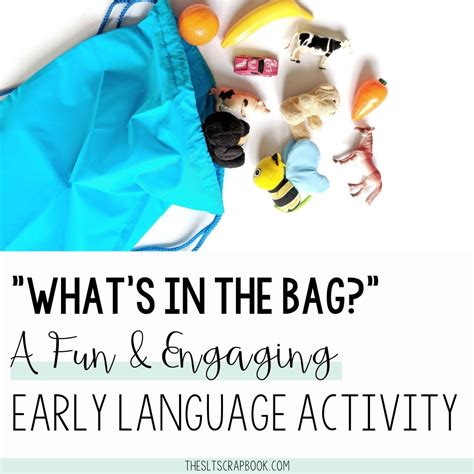 'What's in the Bag?'- A Fun Activity for Language Development - The SLT ...