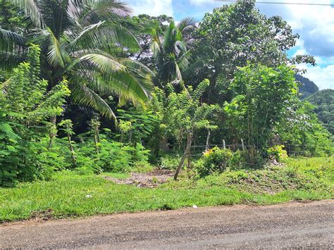 Coldwell Banker Jamaica Realty