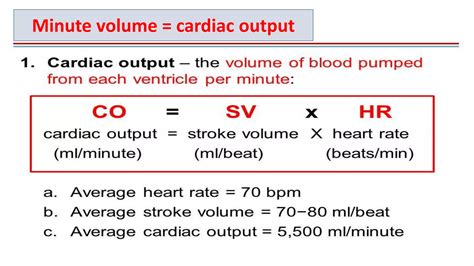 cardiac output.pptx