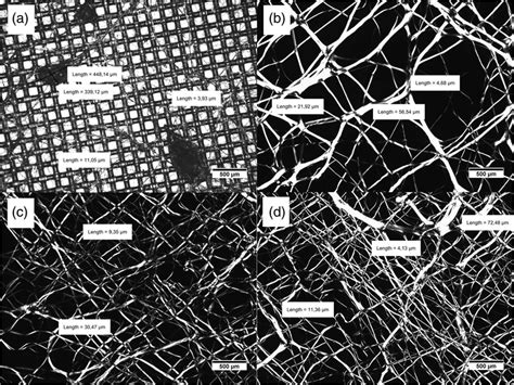 Image result for Scale Bar Magnification