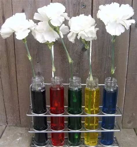 Awesome Science Expieriments 的图像结果