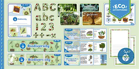 FREE! - Year 1 Biodiversity: Display Pack (teacher made)