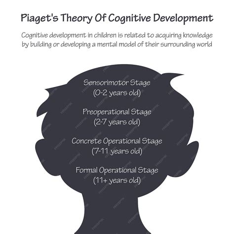 Cognitive Theory Piaget 的图像结果