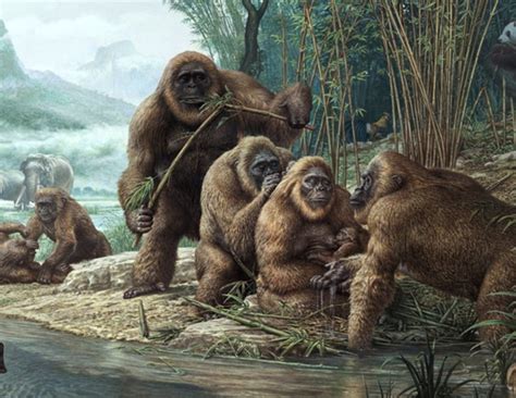 5 Indian Animals That Are Extinct Now - lifeberrys.com