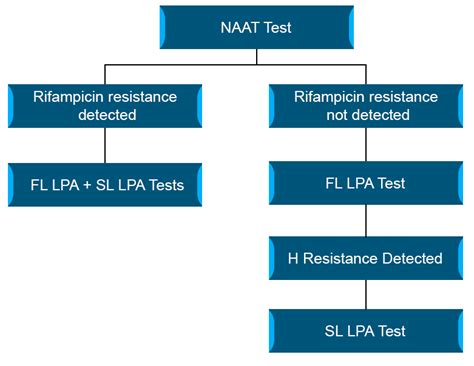 Line Probe Assay [LPA] in DR-TB Diagnosis | Knowledge Base
