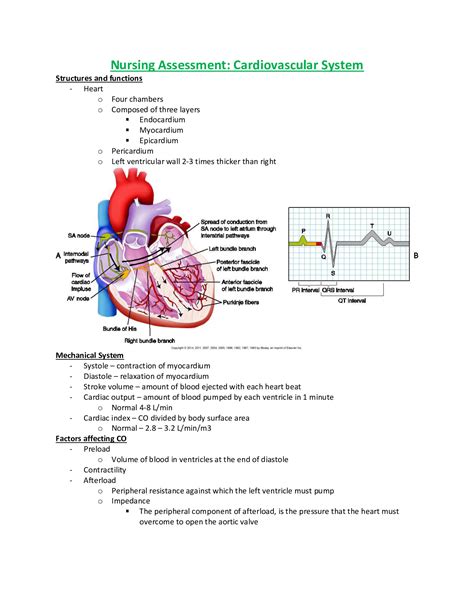 NURSING ASSESSMENT MEDSURG LEVEL 4 CARDIAC ASSESSMENT - Scholarfriends