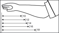 Safety Gloves Sizing Guide from Cole-Parmer India