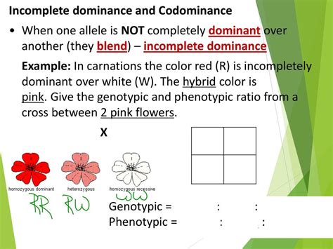 Image result for Incomplete Dominance Definition and Example