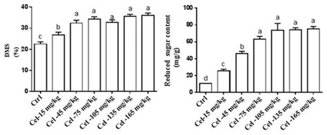 Optimizing Enzymatic Pretreatment of Wet-Grade Maize Distiller’s Dried ...