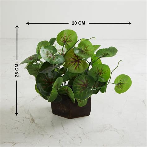 Buy Fiesta Green Artificial Potted Plant from Home Centre at just INR 699.0