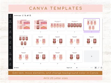 Diastasis Recti Variations Diagram | Abdominal Muscles Separation ...