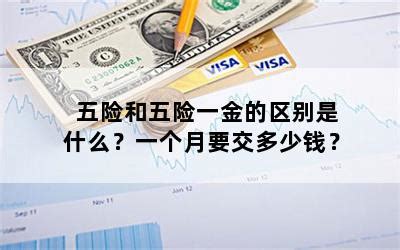 五险一金自己交多少钱一个月？ | 高考大学网