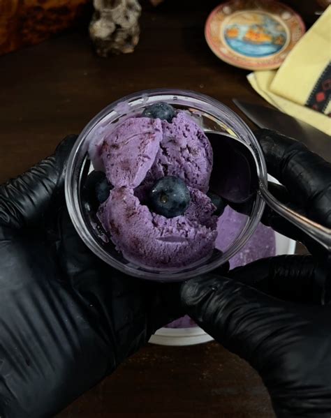 Fresh Blueberry Ice Cream