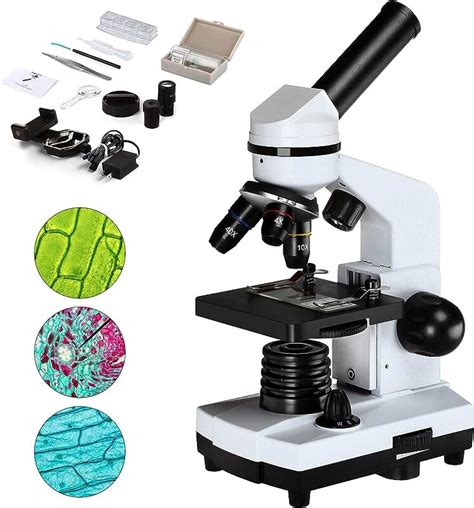 Microscope Lab Set 的图像结果