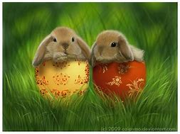 Image result for Too Cute Baby Bunnies