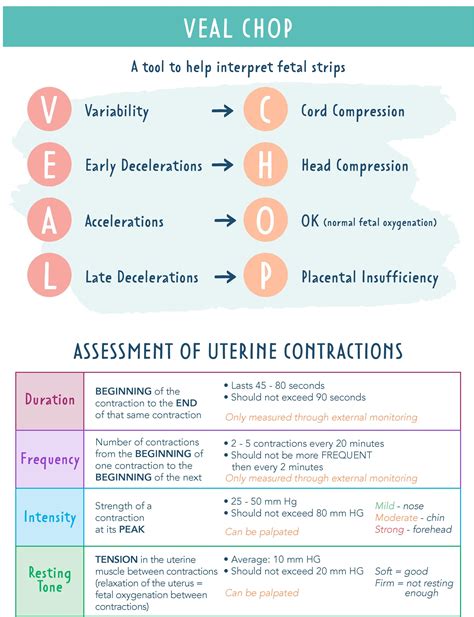 VEAL CHOP & Uterine Contraction Assessment – Interpreting Fetal Heart ...