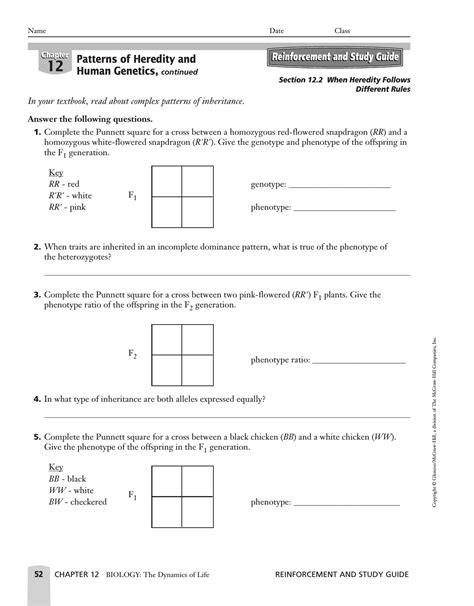 Genetics and Inheritance Worksheet 的图像结果