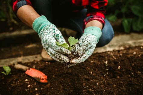 Digging 的图像结果