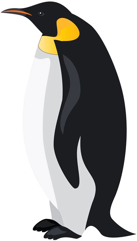 Emperor Penguin PNG Clip Art Image | Gallery Yopriceville - High