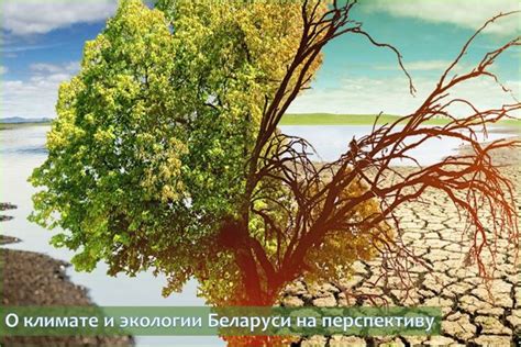О климате и экологии Беларуси на перспективу | Новости | Министерство ...