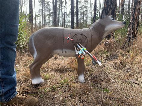 Florida 3D Circuit at Gator Bowmen Archery, 5824 SW 195th Ave ...