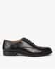Buy Black Formal Shoes for Men by SCHUMANN Online | Ajio.com
