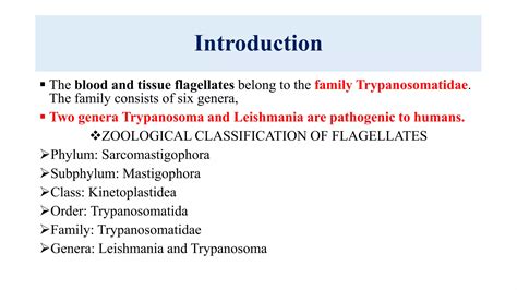 Trypanosoma | PPTX