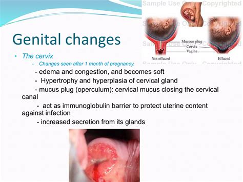 Physiological changes in pregnancy | PPTX
