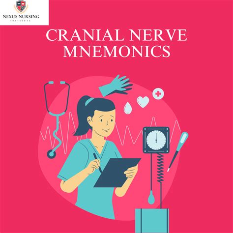 Understanding Cranial Nerves Mnemonics for Easy Recall