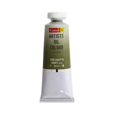 Camlin Kokuyo Artist Oil Colour 120 ml Series 1 Davy's Grey : Amazon.in ...