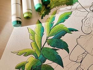 Ohuhu Alcohol Markers Double Tipped Art Marker Set for Artists Adults ...