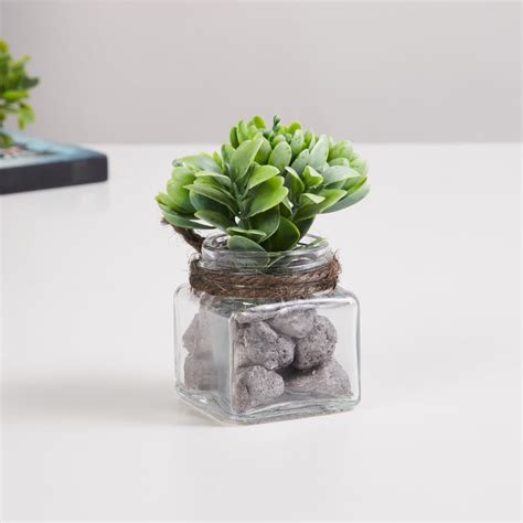 Buy Corsica Eden Artificial Succulent in Glass Jar from Corsica by Home ...