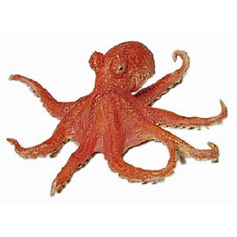 Image result for Octopus Metaheuristic Algorithm