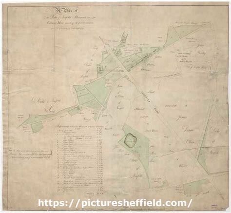 Searching Picture Sheffield