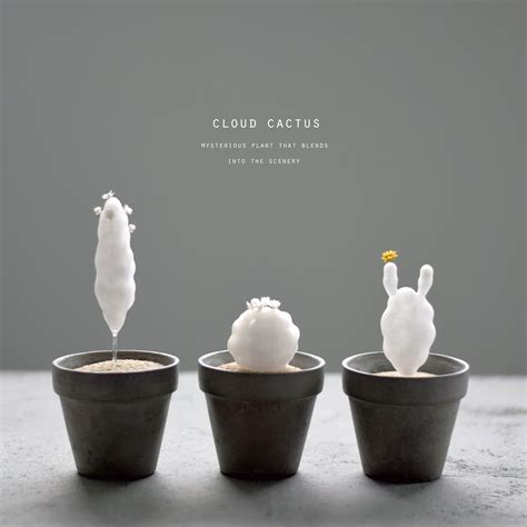 cloud cactus (small) | echidna