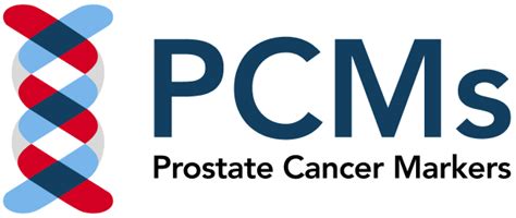 Decipher Test 的图像结果