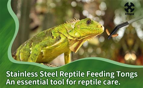 Xfopz 2PCS Long Aquarium Tweezers with Rubber Tip,10.6" Straight and ...