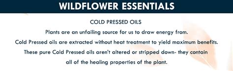 Buy Wildflower Essentials 100% Pure Red Raspberry Seed Oil (Rubus ...