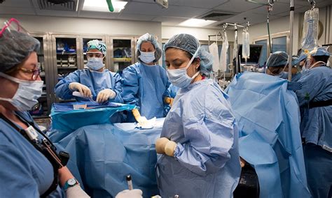 Image result for Masie Learning Lab Program Guide