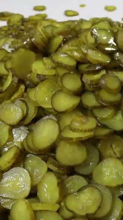 HowToBasic Pickles 的图像结果