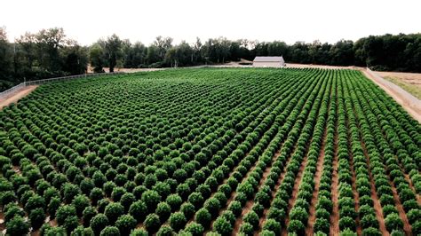 Image result for Large Scale Farming Challenges