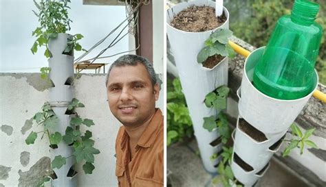 Image result for Directly Composting with PVC Pipes