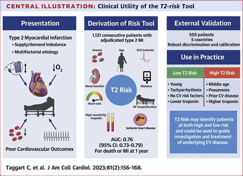 Improving Risk Stratification for Patients With Type 2 Myocardial ...