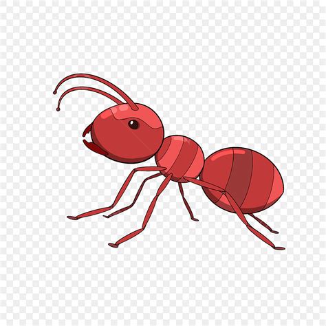 Ant Clip Art
